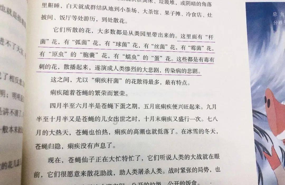 空中战队
