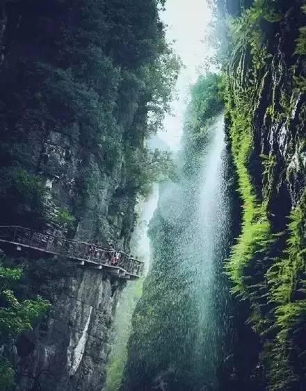 苹果菠萝笔3
