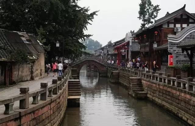 救援受困的小恐龙